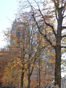 Notre Dame in autumn.
