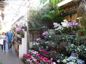 Flower market.